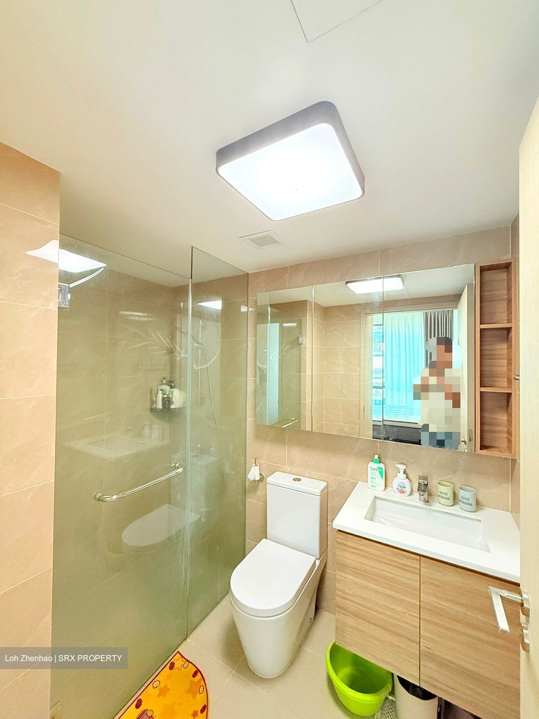 Treasure at Tampines (D18), Condominium #587596811